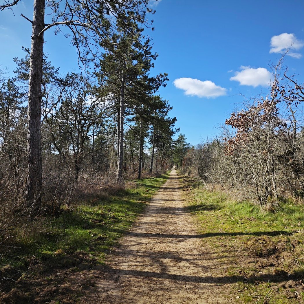 Forrest of Fontainbleu - start of route blue 1